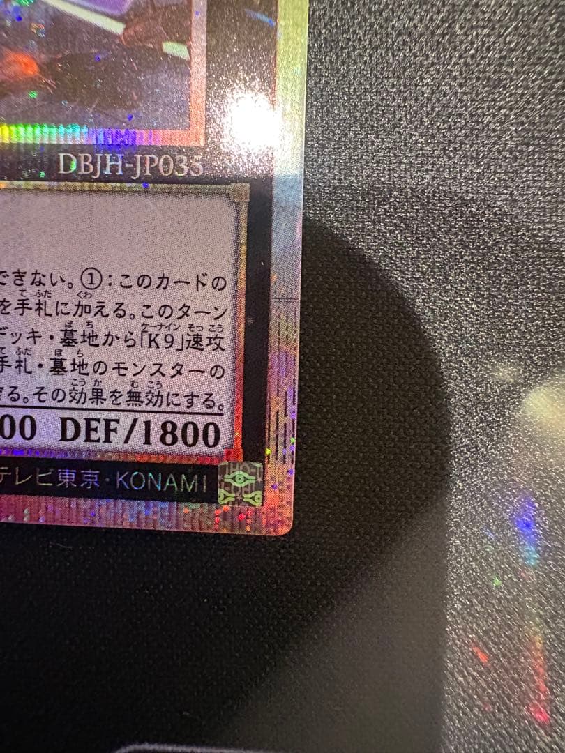 K9-17号 \"Ripper\" プリシク