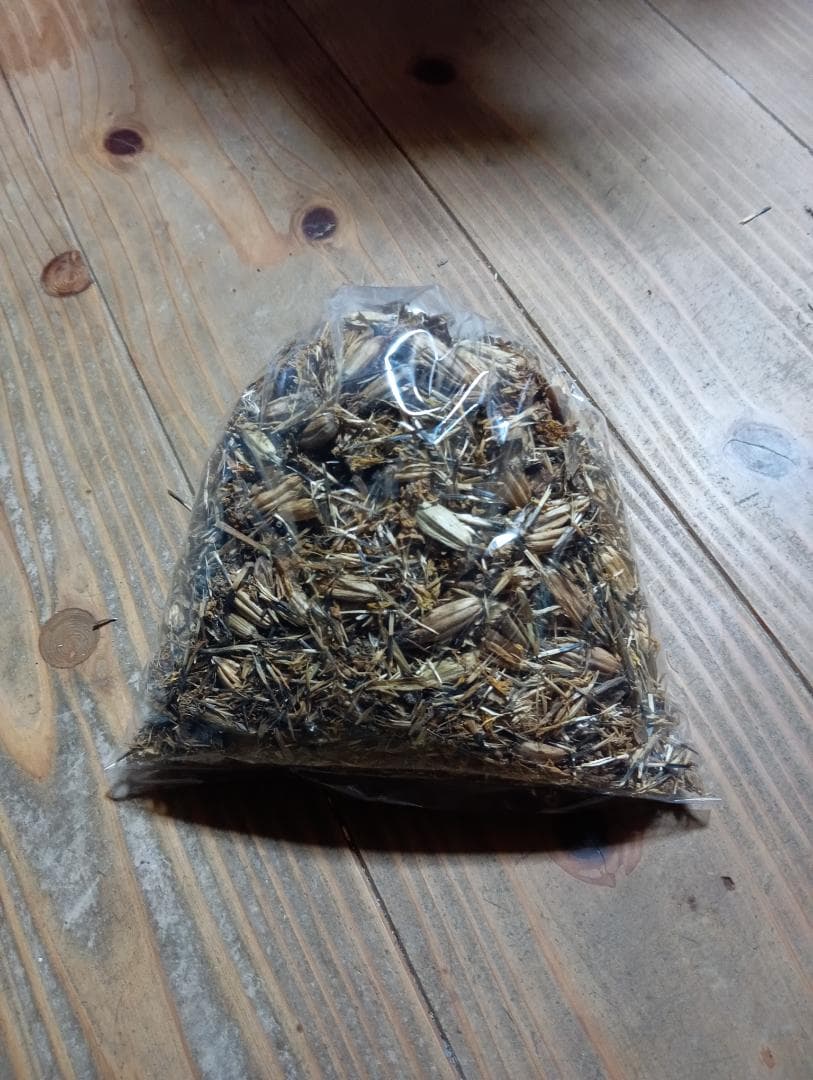 天然マリーゴールドの花種、大量１万粒＋粗品＋全国匿名送料無料