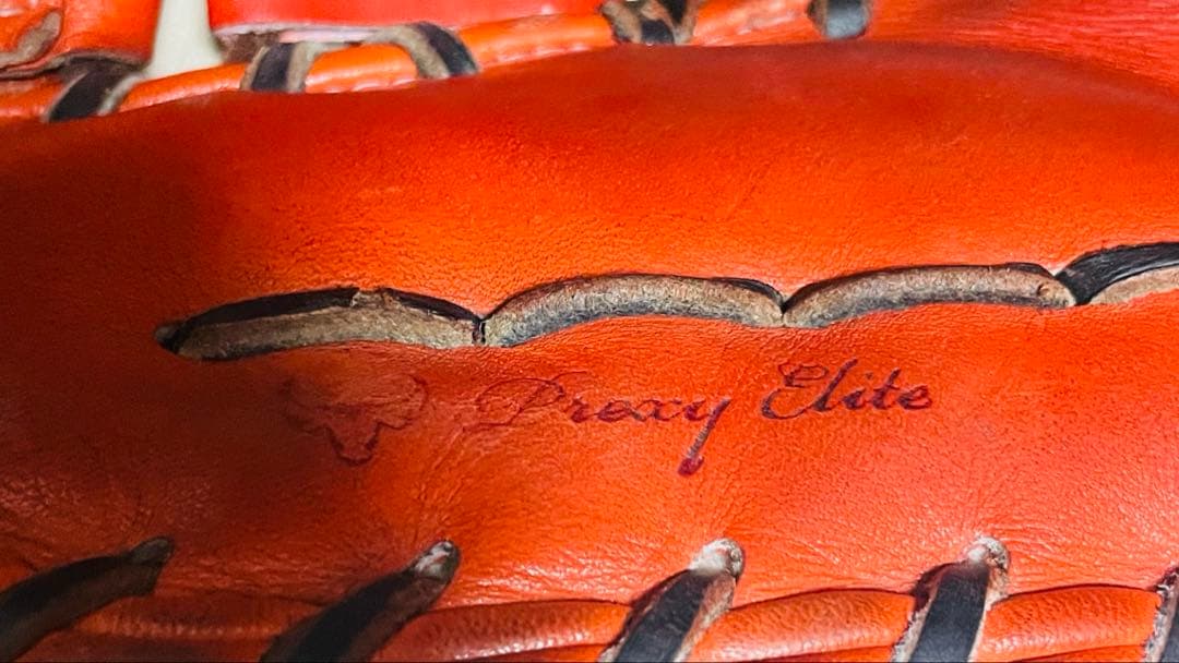 ミズノプロ硬式ファーストミット店舗オーダー5DNA耕作印有り