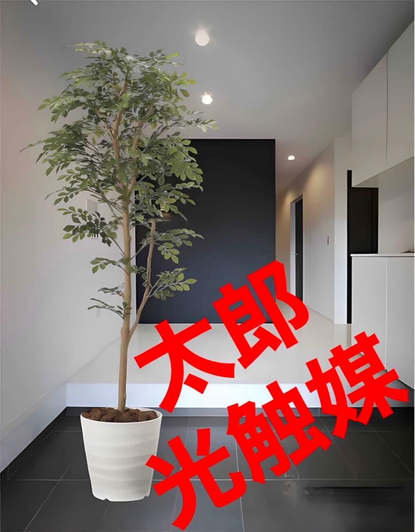 光触媒　人工観葉植物　ウォールグリーン　フェイクグリーン　トネリコ1.6m