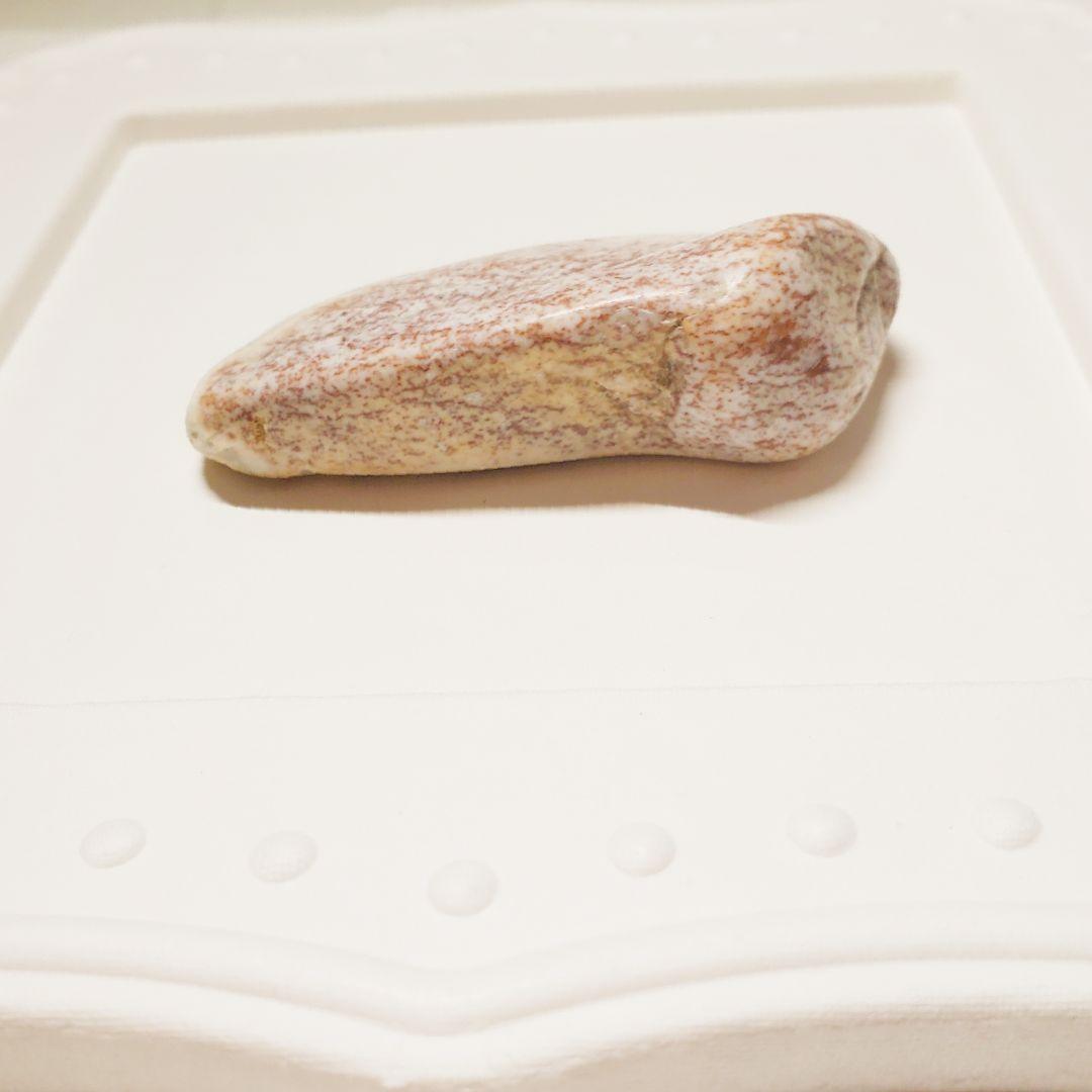 【一点物レア】天然石の肉石(ポークストーン)