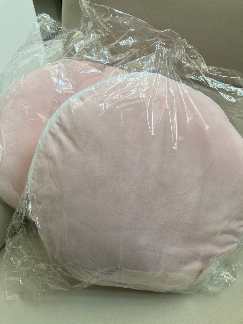 Rady レディ　rady 花柄　クッション　2個セット