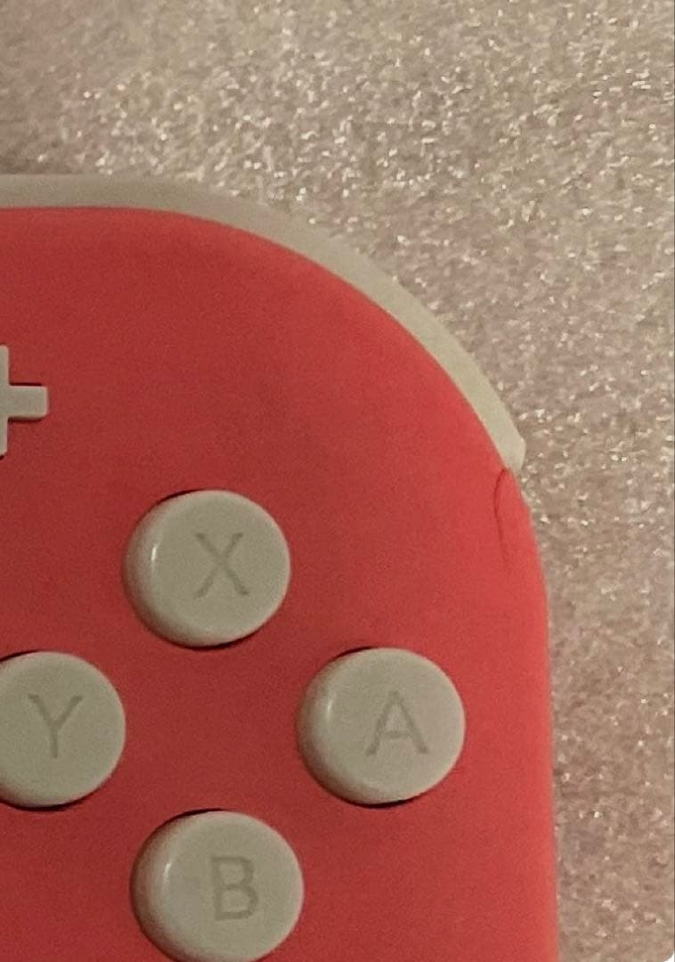 Nintendo Switch Lite ピンク【箱無し】