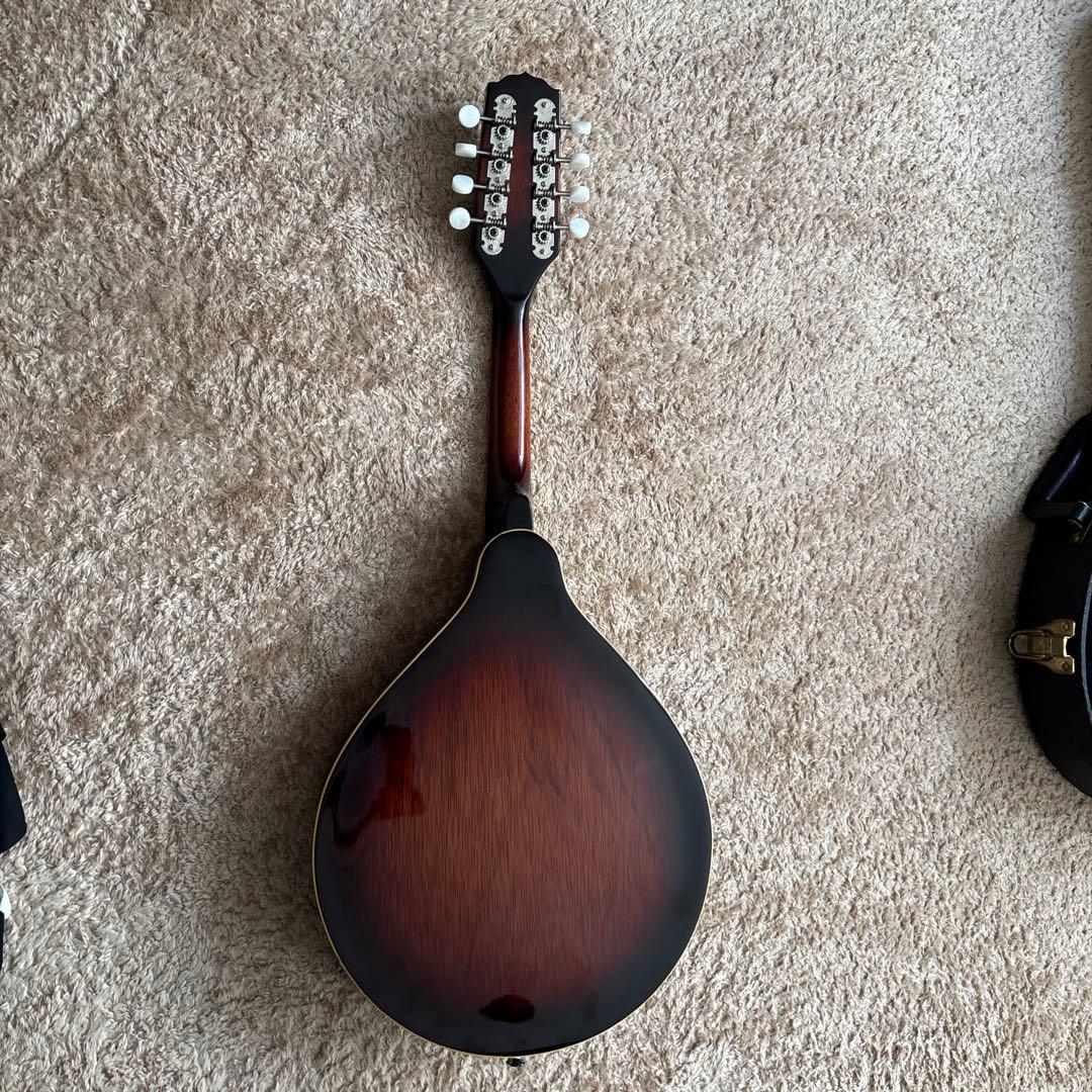 【Fender】 エレクトリック フラットマンドリン