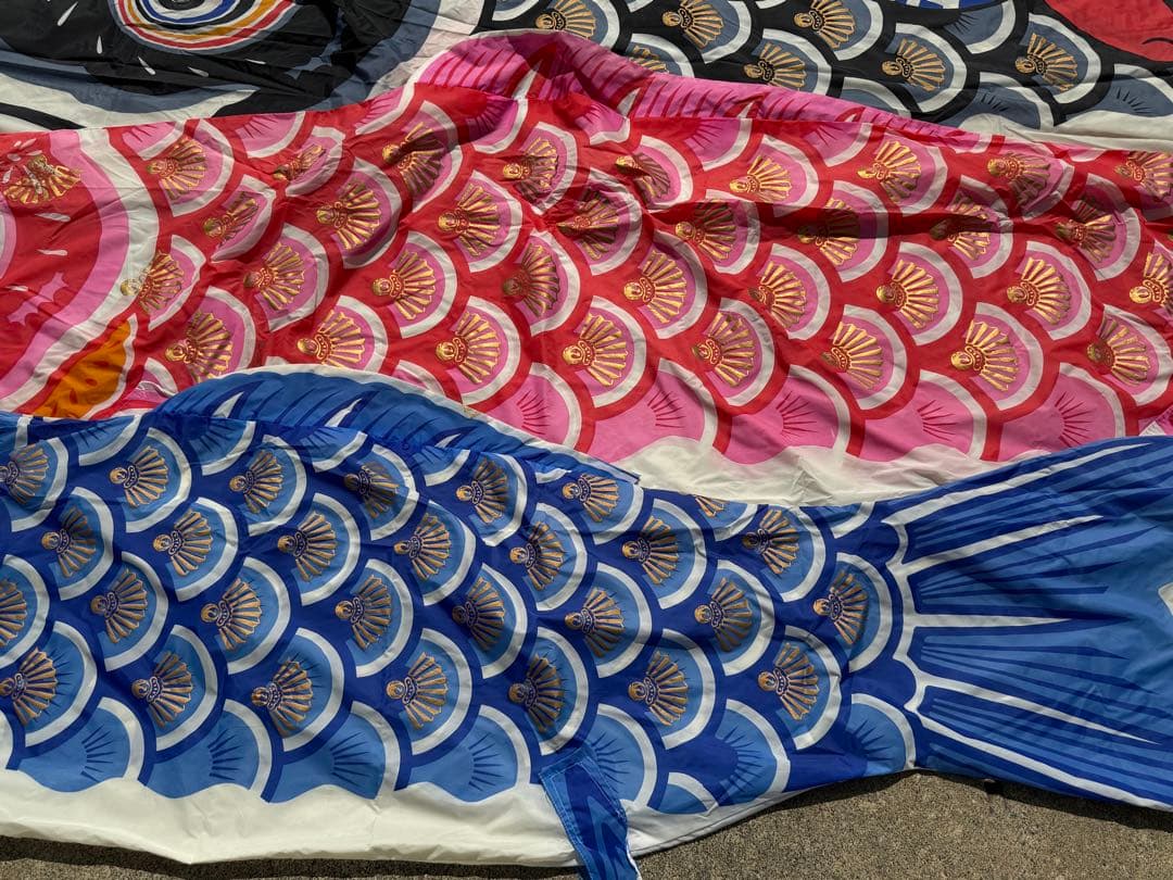 中古 鯉のぼり【C】5m 両面金太郎 こいのぼり 3色+吹流し こどもの日 節句