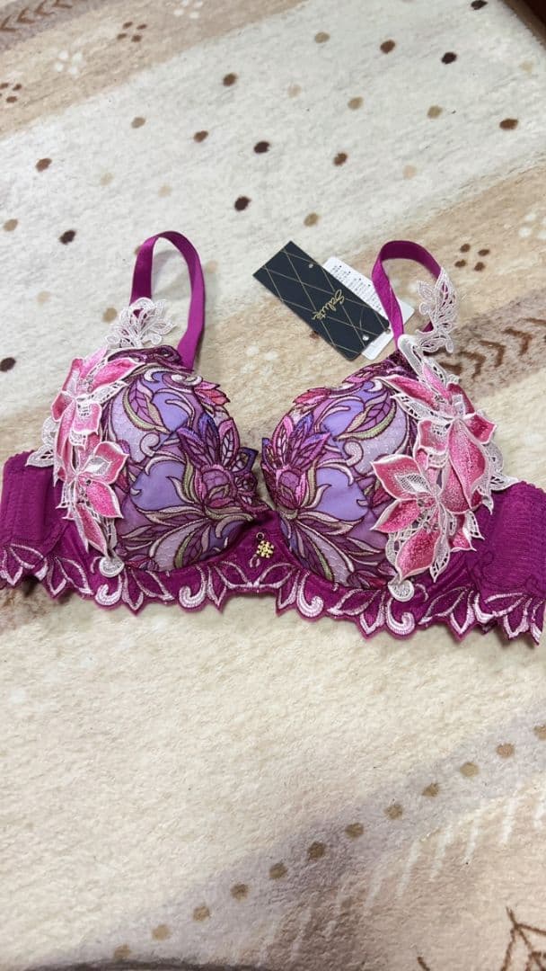 ワコール サルート予約限定40G ブラD75 VI タグ付き