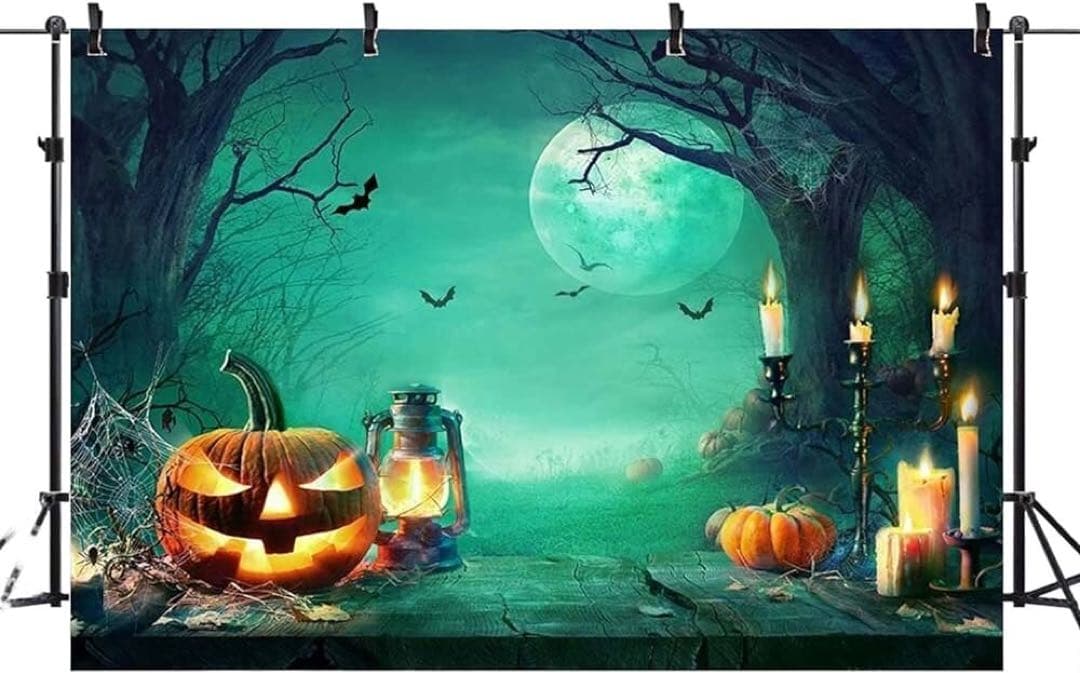 ✨️micia luxury ✨️ハロウィン  壁紙  イベント 写真撮影 スタジオ