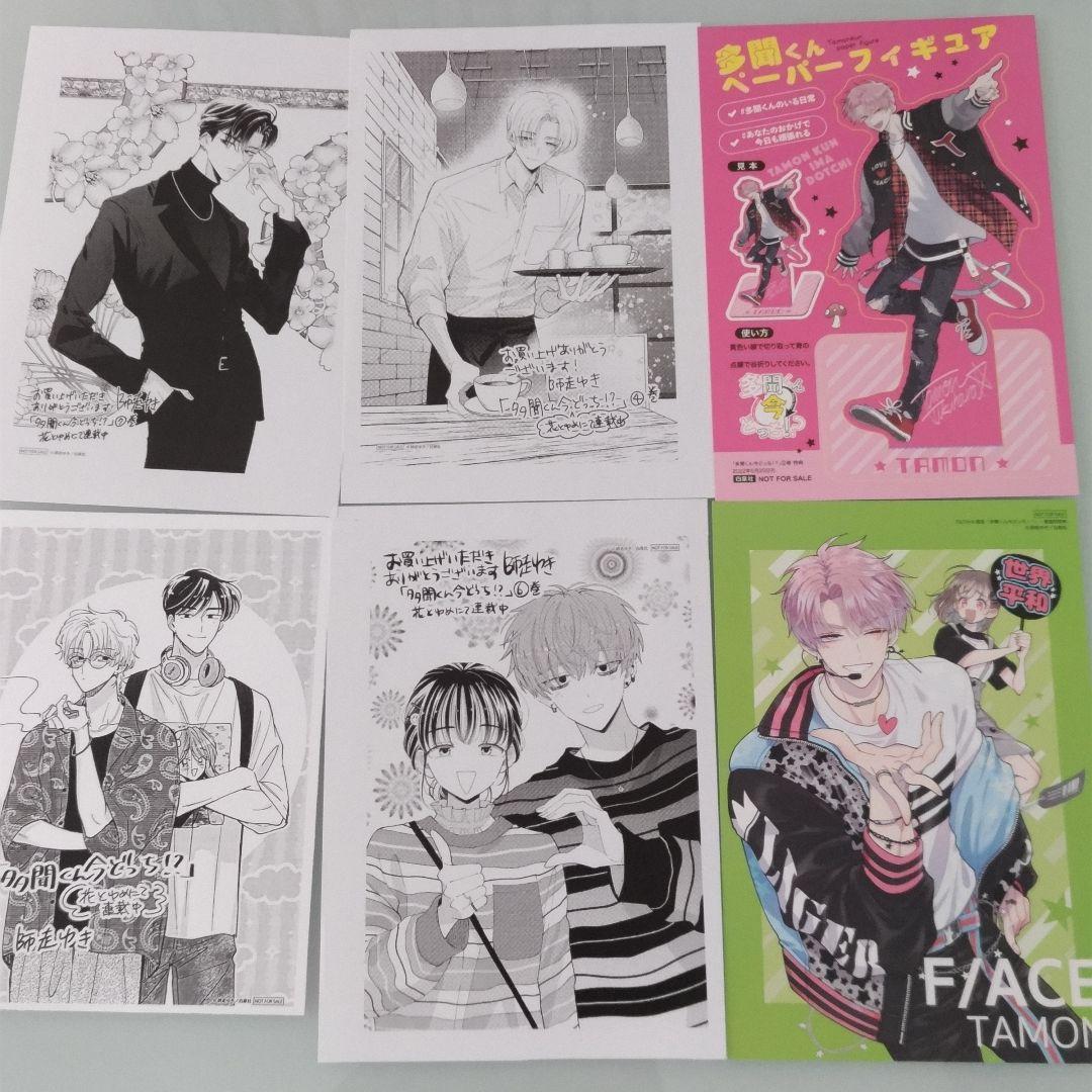 【特典多数】多聞くん今どっち!? 1〜13 既刊全巻セット 師走ゆき アニメ化