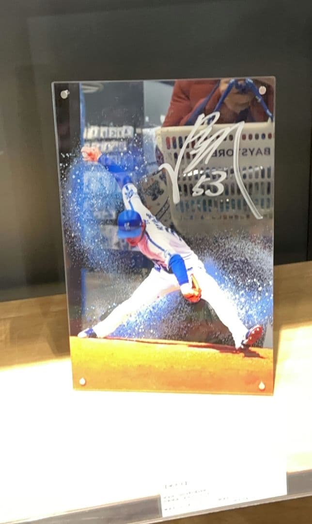 ベイスターズ　中川颯　直筆サイン入りアクリルアートパネルコレクション