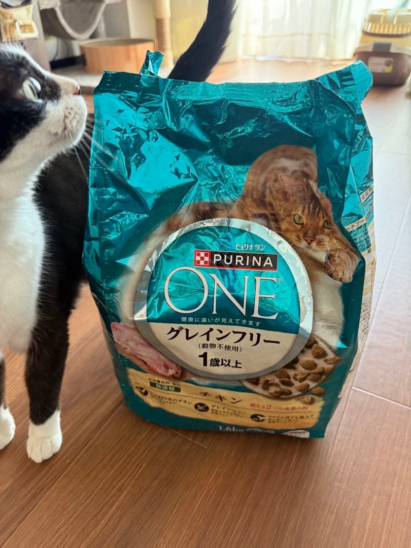 PURINA ONE グレインフリー キャットフード