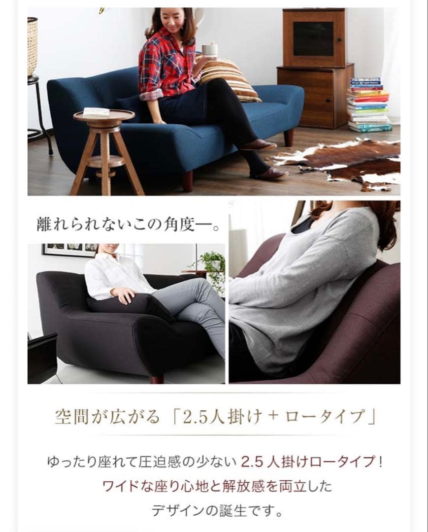 ネイビー 2.5人掛けローソファ
