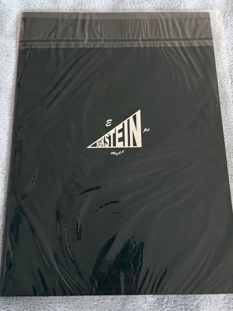 【新品未開封】アインシュタイン 写真集★NGKシュタイン限定グッズ
