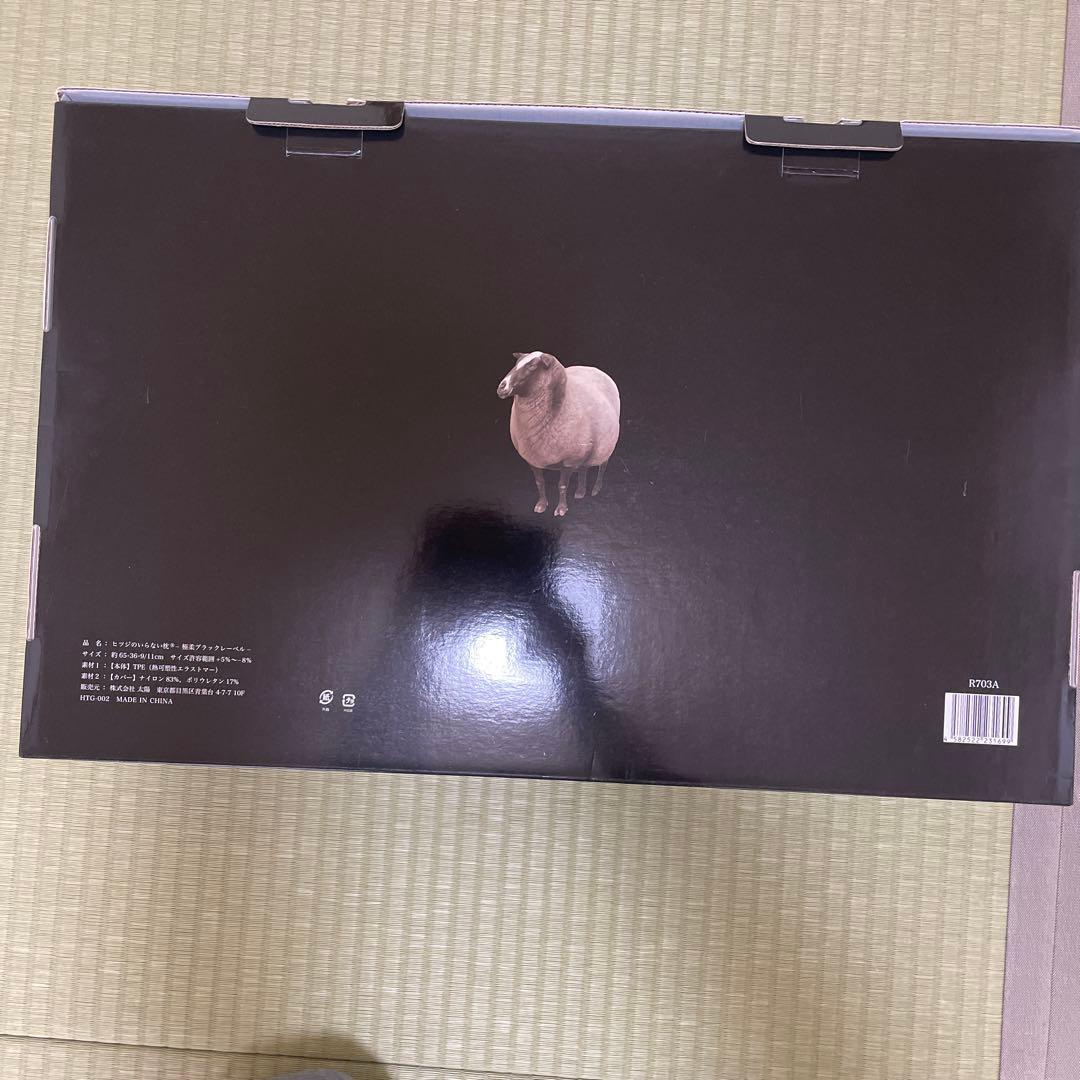 ノ*ア様 ビツジのいらない枕 黒　極柔