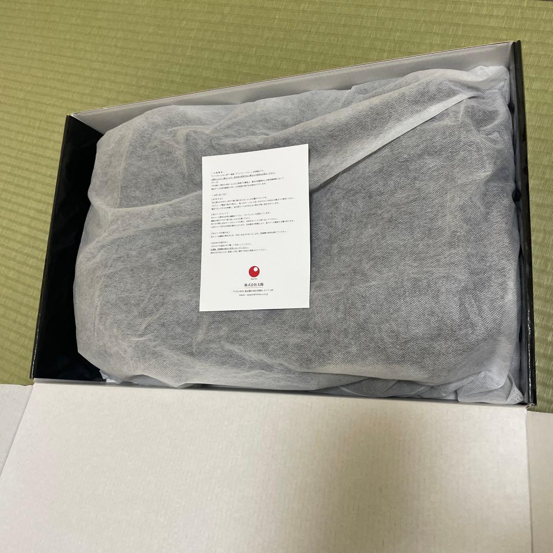 ノ*ア様 ビツジのいらない枕 黒　極柔