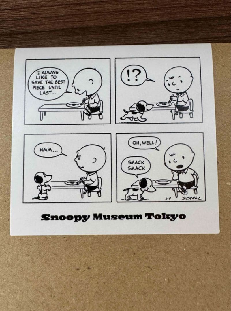 スヌーピー snoopy ミュージアム　大皿 限定　お皿　プレート　2枚セット