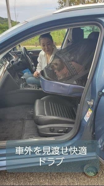 ペット乗車具　5ways