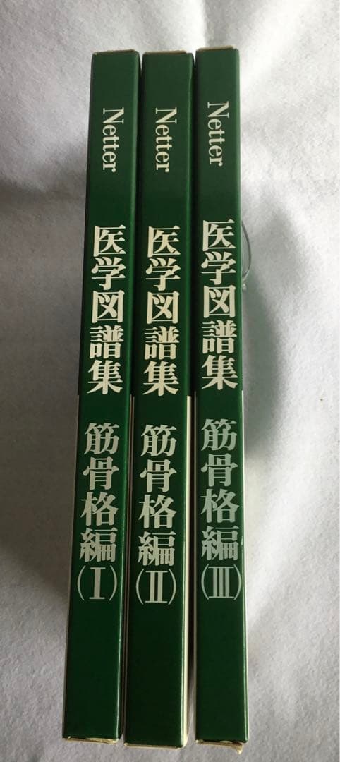 医学図譜集/筋骨格編 Ⅰ・Ⅱ・Ⅲ ３巻セット/箱★書込無し