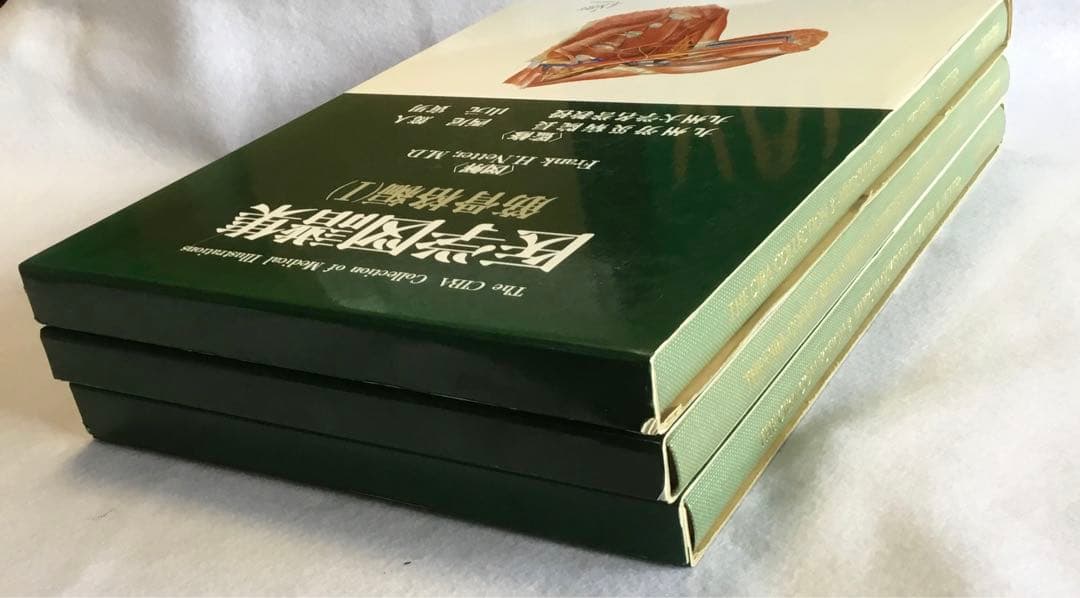 医学図譜集/筋骨格編 Ⅰ・Ⅱ・Ⅲ ３巻セット/箱★書込無し