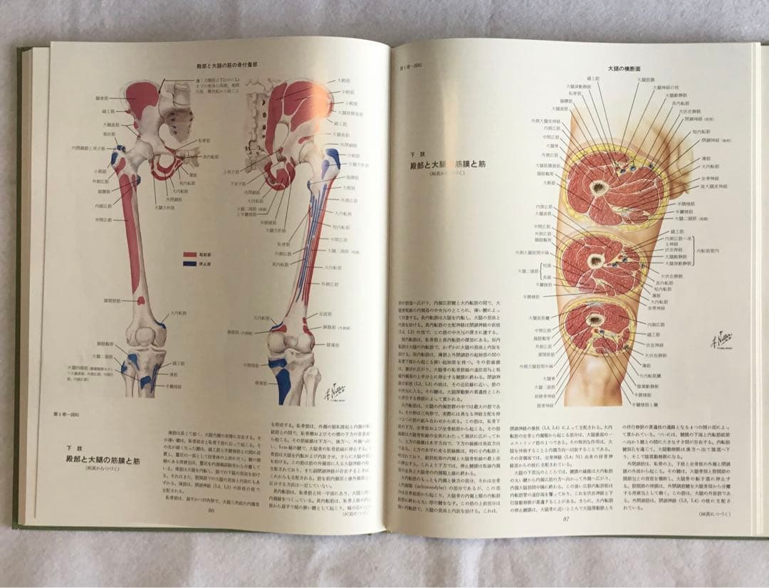 医学図譜集/筋骨格編 Ⅰ・Ⅱ・Ⅲ ３巻セット/箱★書込無し