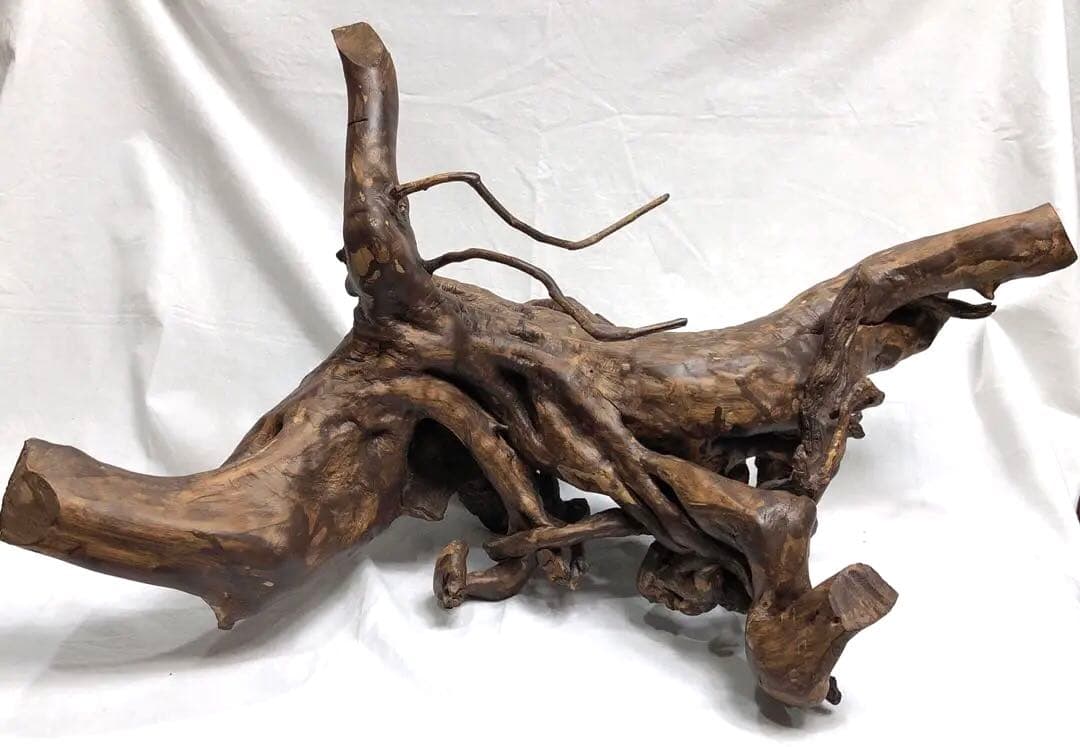 枯木 朽木 古木 流木 インテリア オブジェ アート　置物
