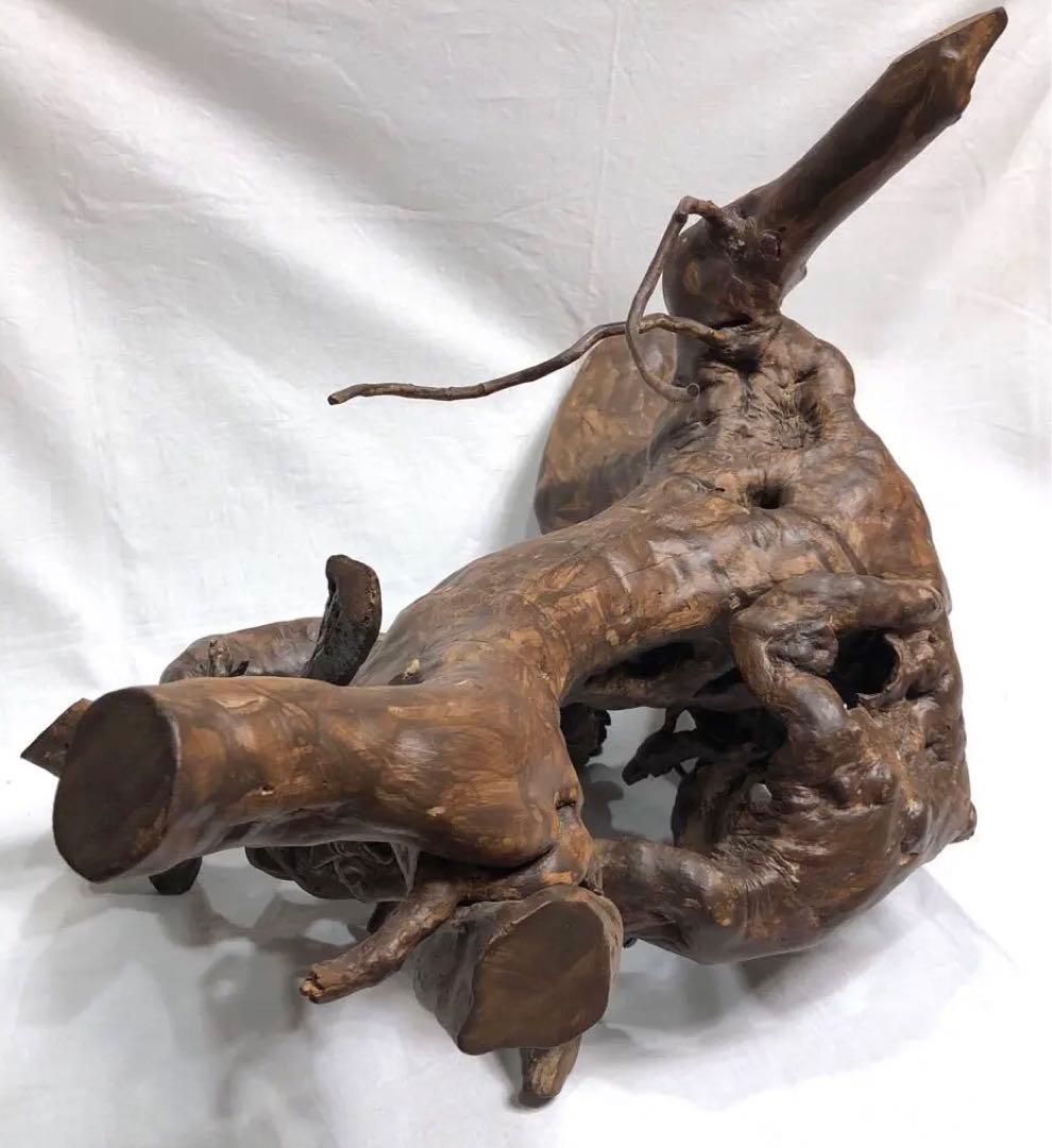 枯木 朽木 古木 流木 インテリア オブジェ アート　置物