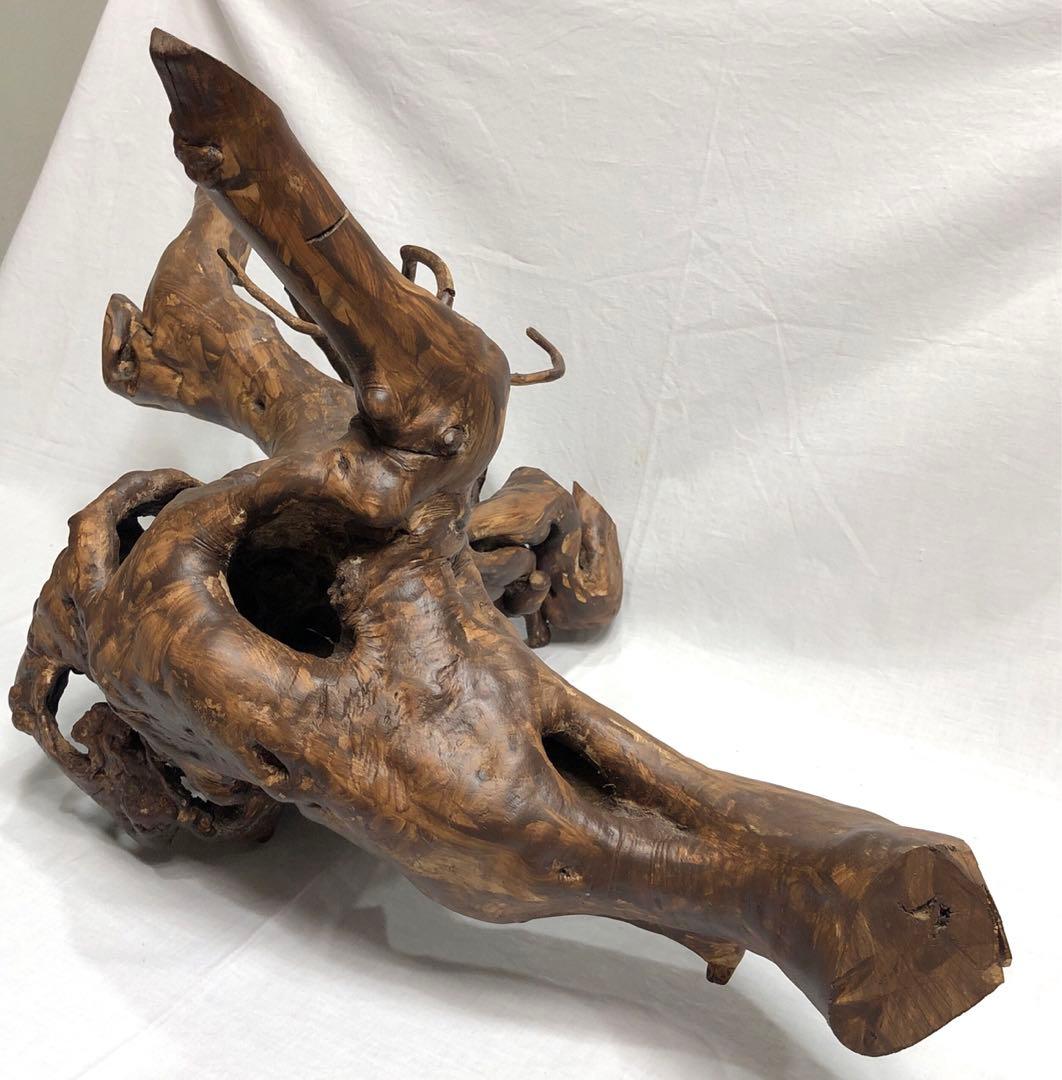 枯木 朽木 古木 流木 インテリア オブジェ アート　置物