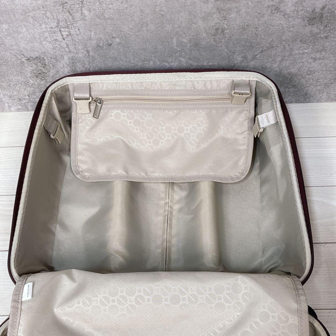 ace GENE エースジーン スーツケース 25Ｌ 機内持込 TSAロック