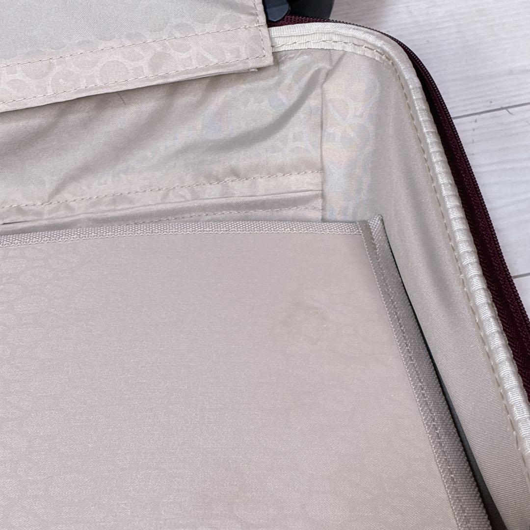 ace GENE エースジーン スーツケース 25Ｌ 機内持込 TSAロック