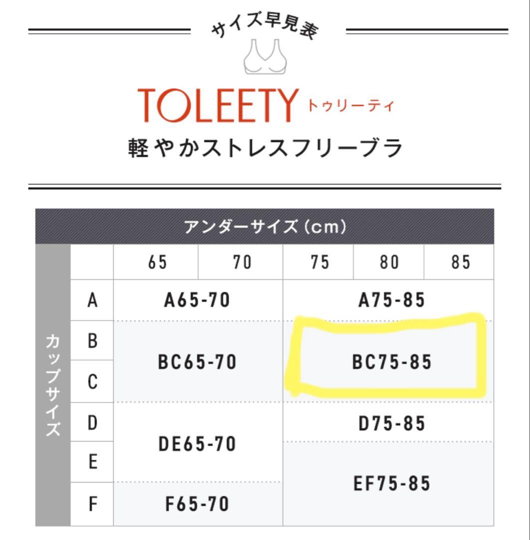 TOLEETY BC75-85 ブラック3点