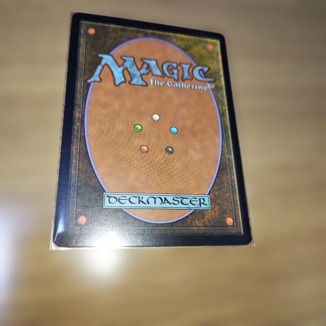 フェアリーの忌み者　日本語　foil