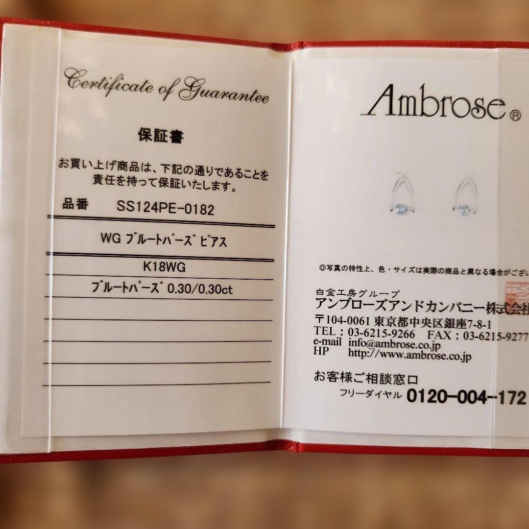 Ambrose WG　ブルートパーズピアス(両耳用)
