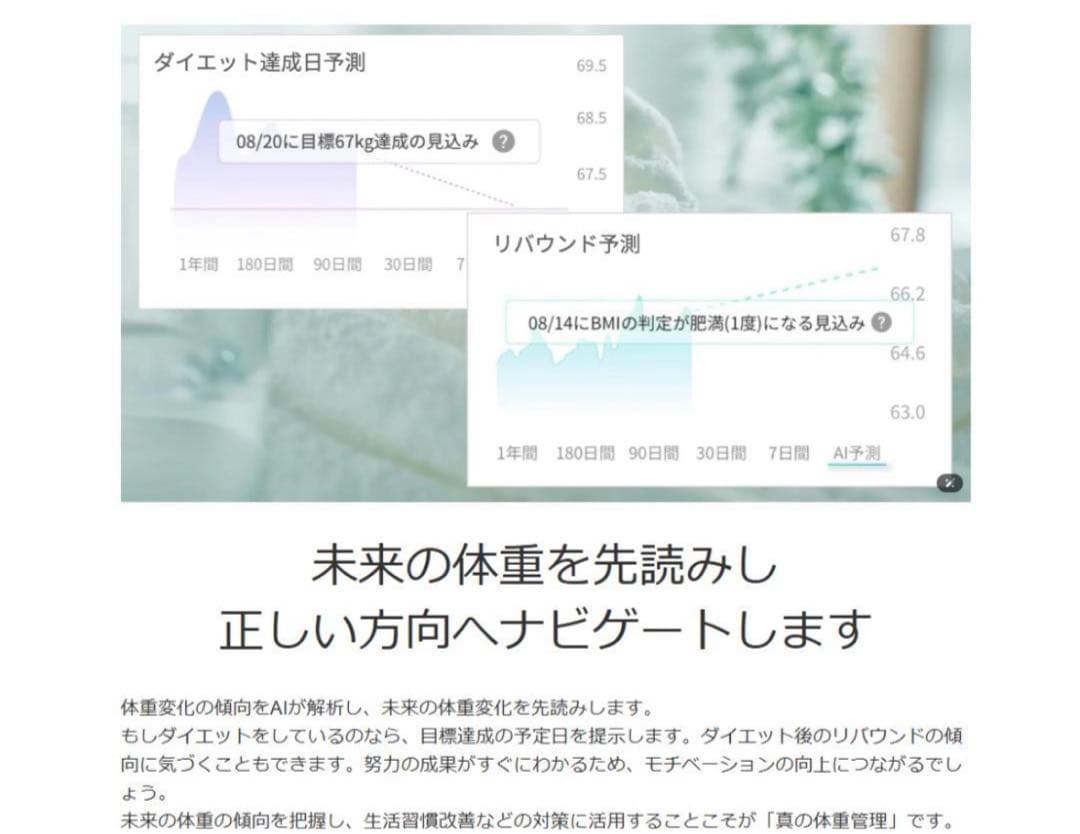 issin スマートバスマット体組成計モデル SBM24W01LJ 24年7月製