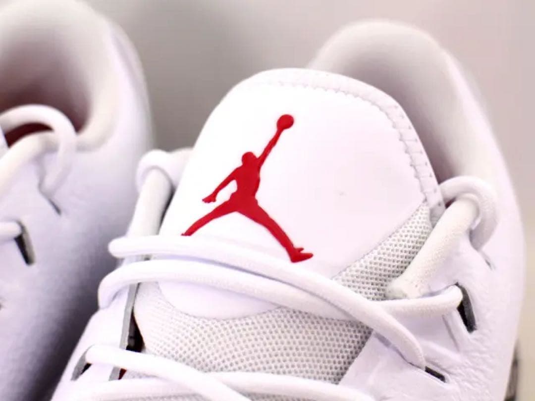 シューズ(男性用) NIKE JORDAN ADG AR7995 100