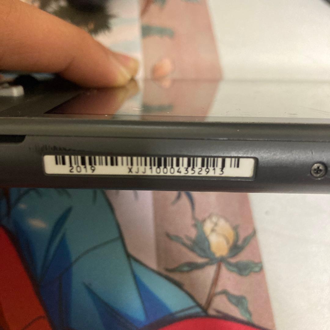 Switchライト、カセット