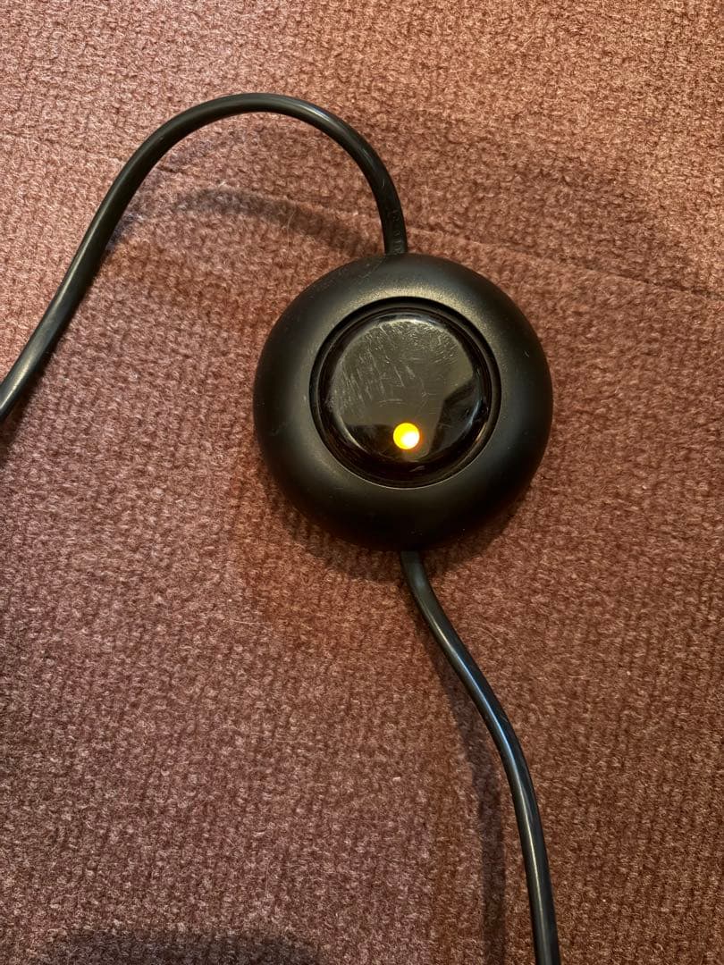 正規品FLOS ARCO フロアライト