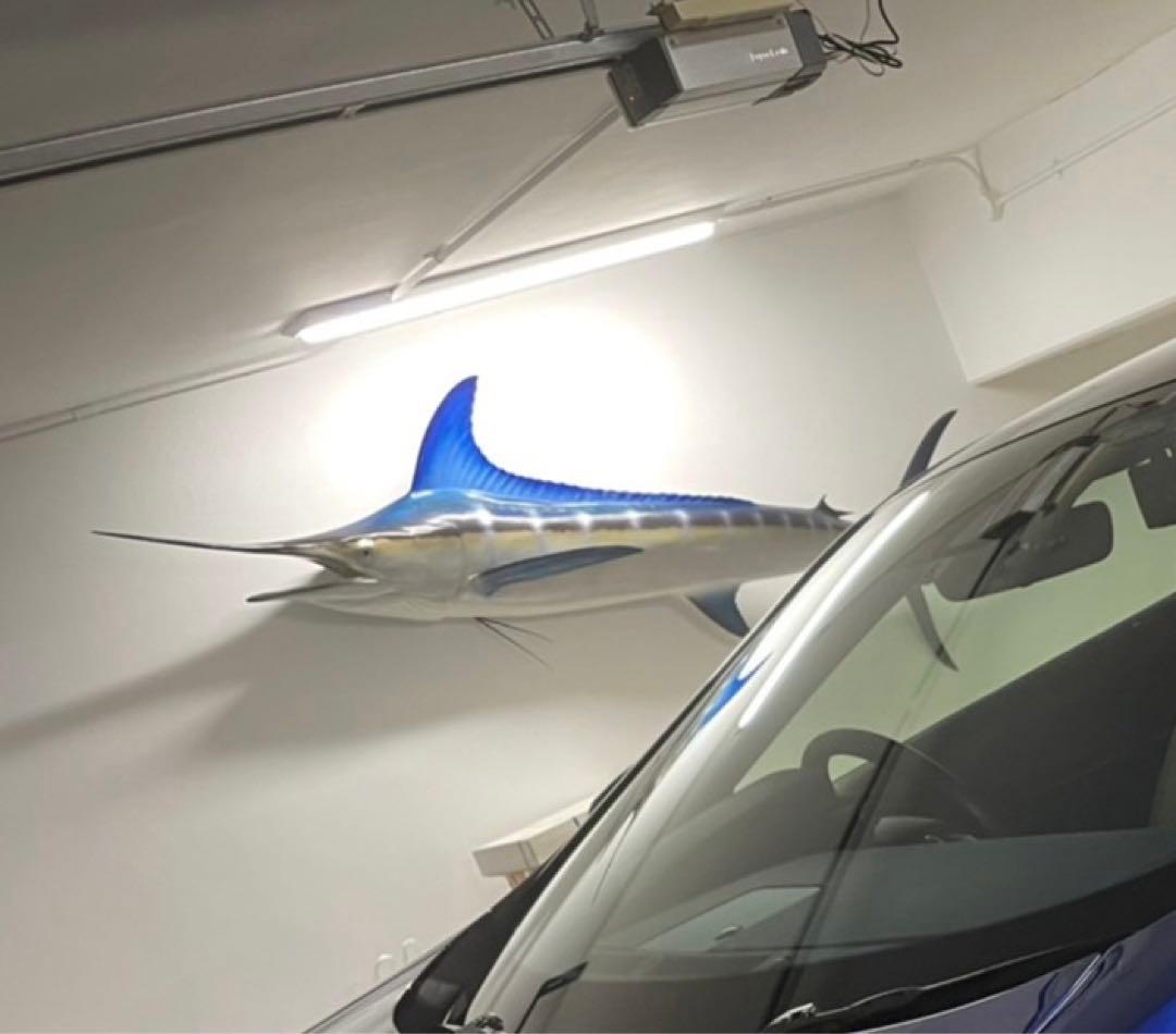 値下げ(^^)特大カジキ ストライプマーリン剥製 魚拓グラスファイバー