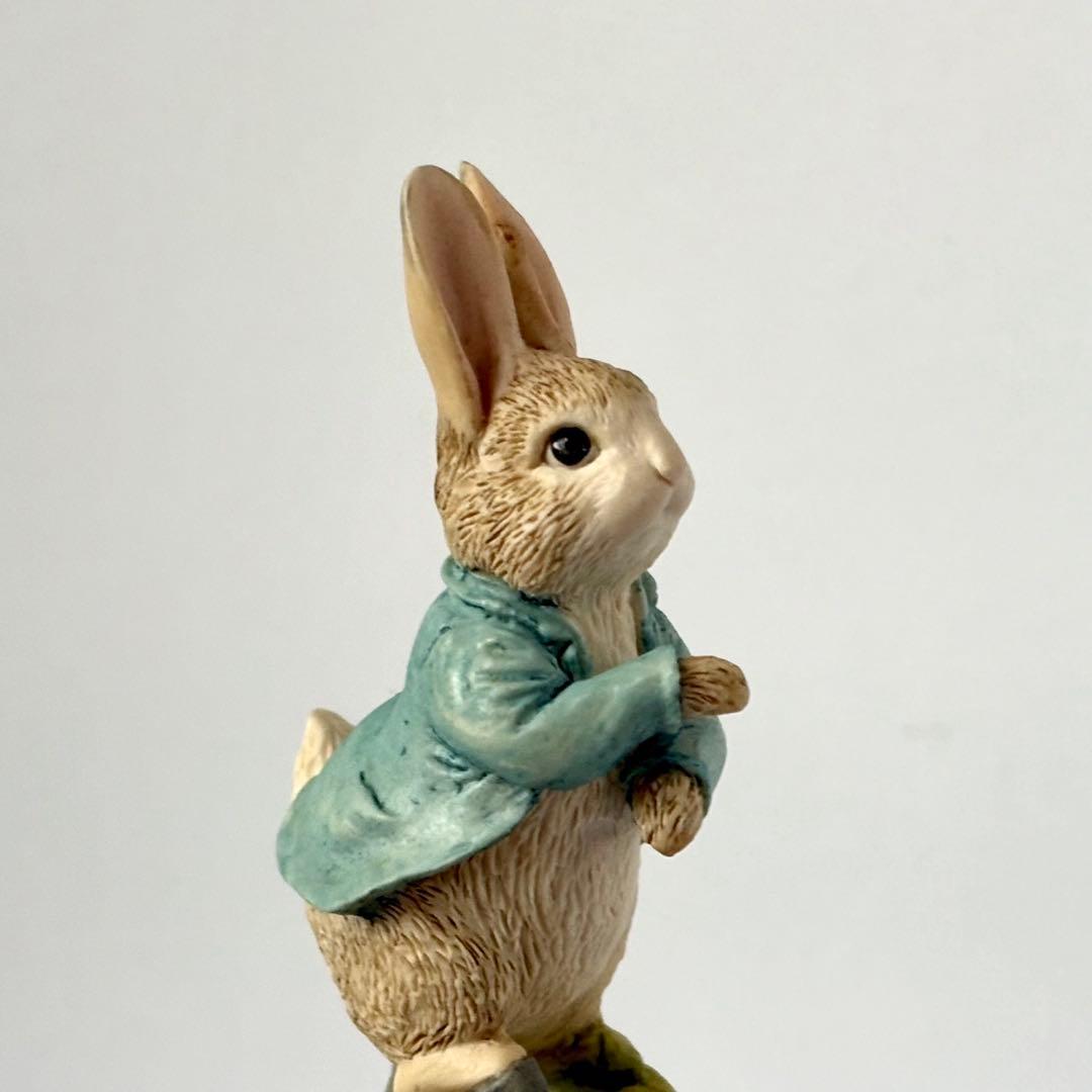 【R様ご確認】ピーターラビット【Peter Rabbit Running】