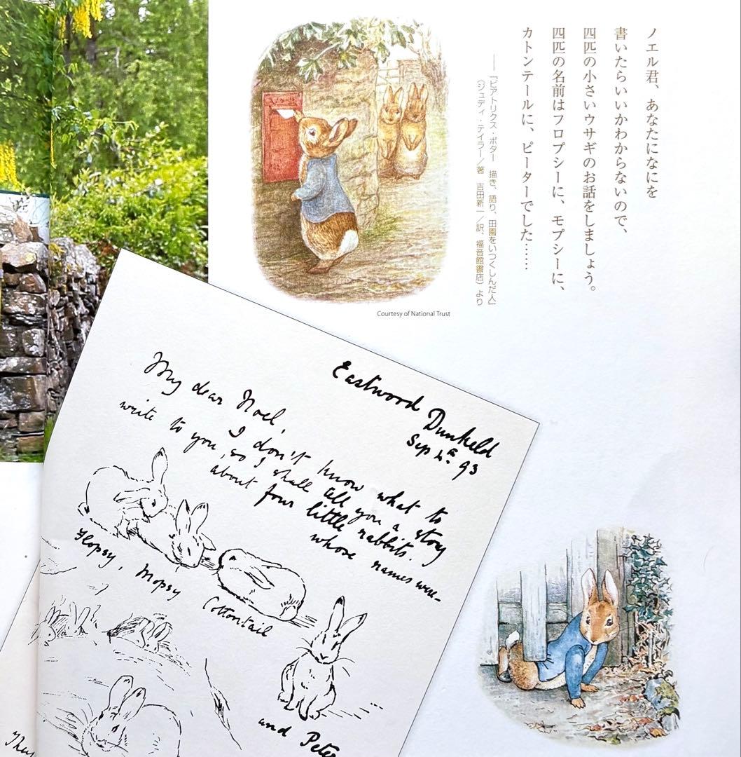 【R様ご確認】ピーターラビット【Peter Rabbit Running】