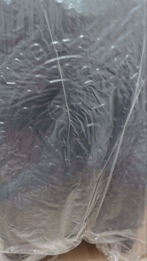 新日本プロレス ロイヤルシート特典 オリジナルキャリーケース