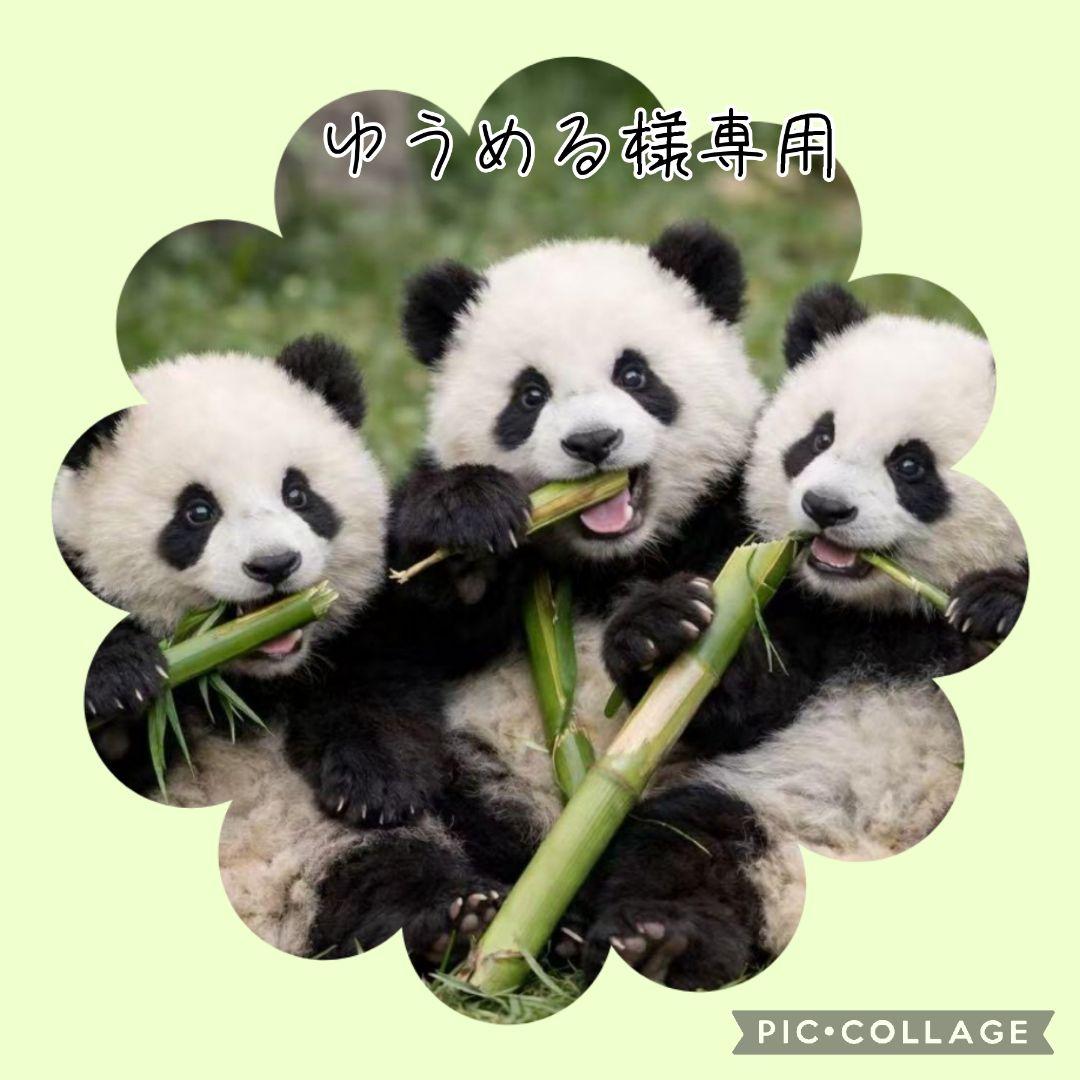 【1月】ゆうめる