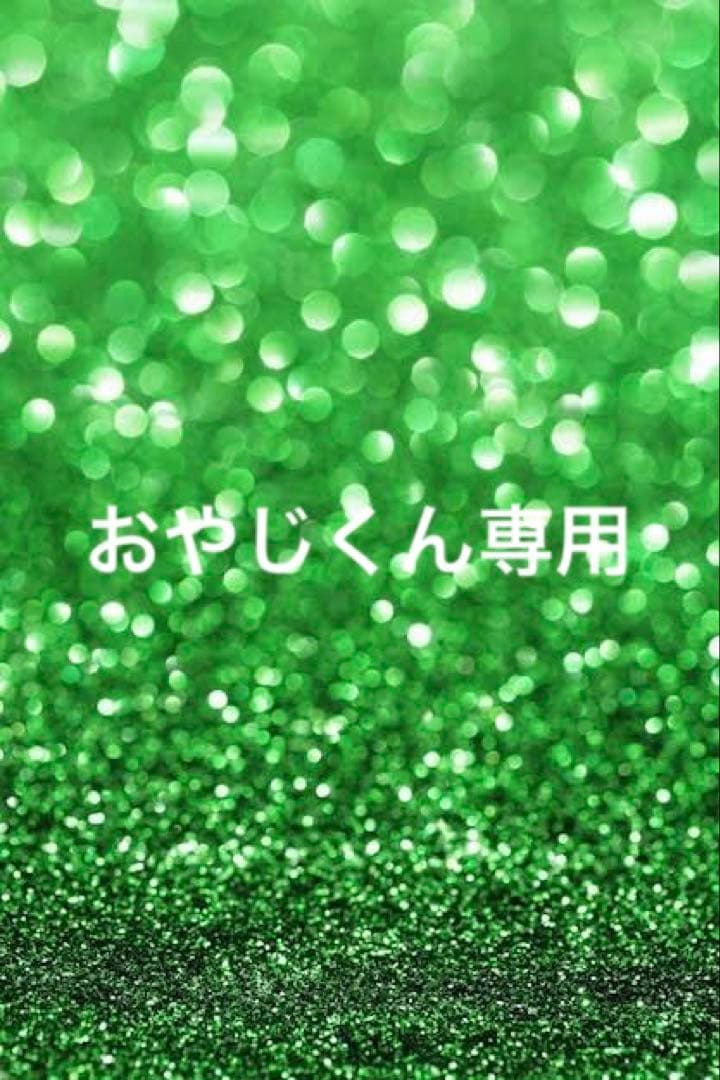 おやじくん専用です。