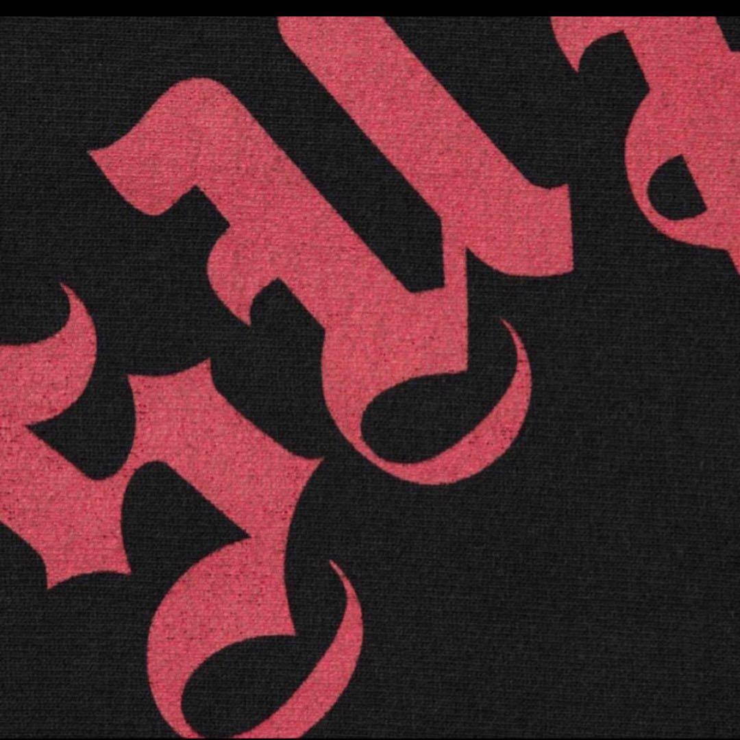 supreme パーカー　24FW PRINTED ARC HOODED美品