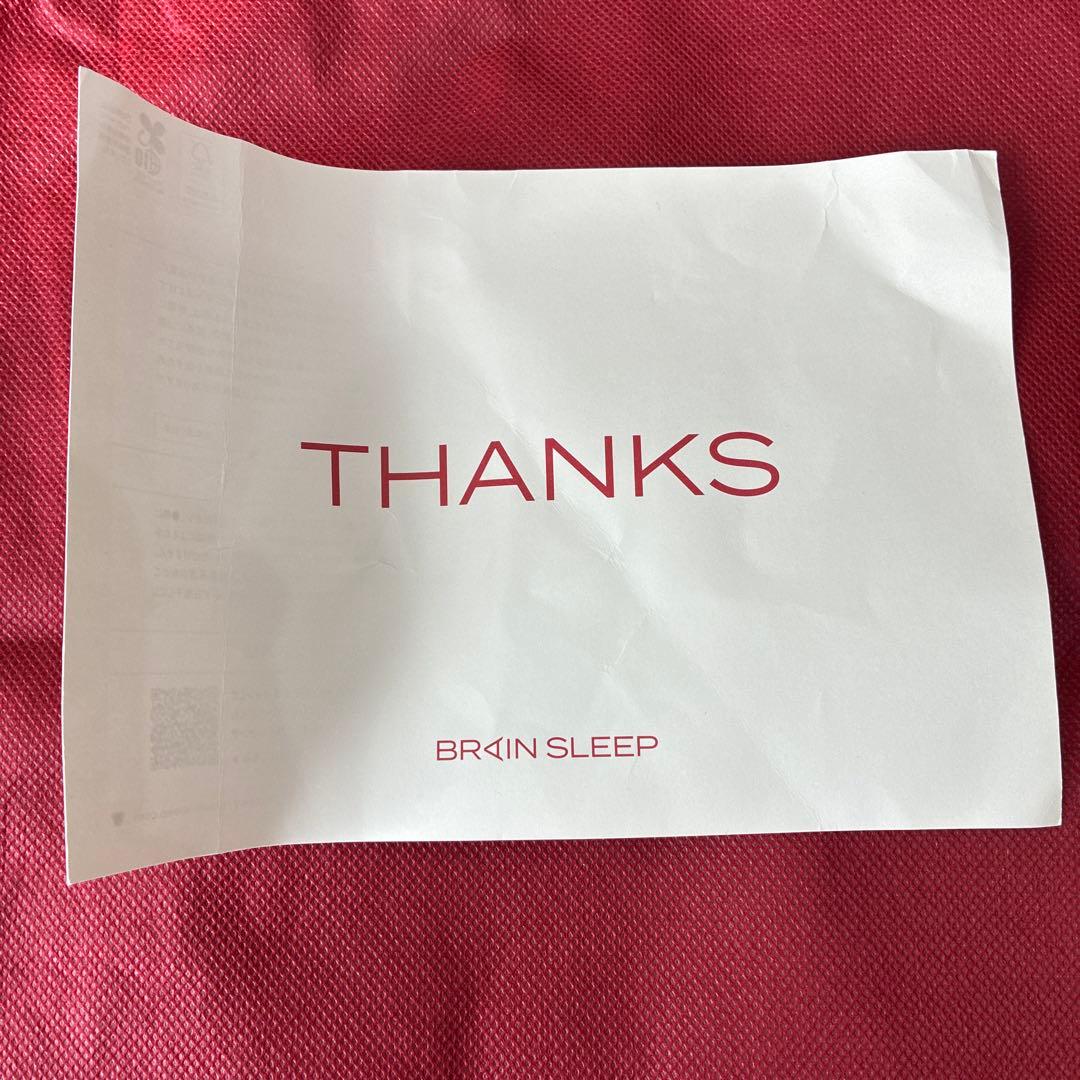 【送料無料】ブレインスリープピロー　スタンダード　STANDARD 枕カバー付き