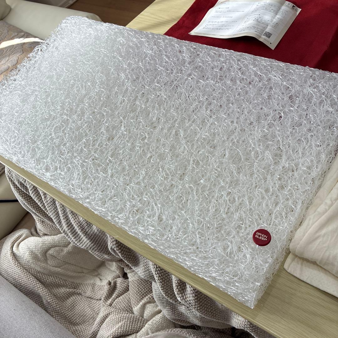 【送料無料】ブレインスリープピロー　スタンダード　STANDARD 枕カバー付き