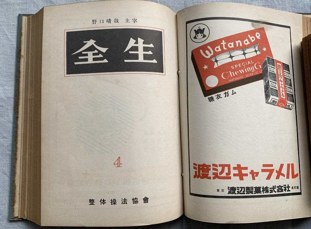 ト*ツ様 野口晴哉著　「全生談義」
