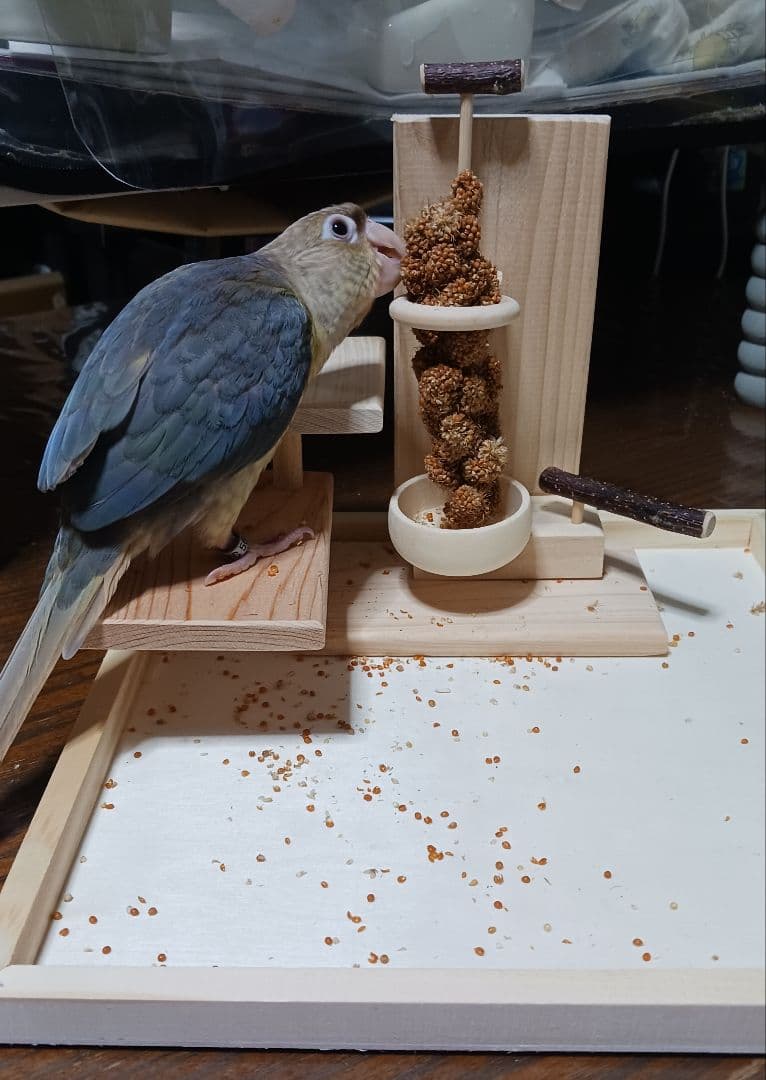 b6　粟の穂専用ホルダーと専用トレー　バードトイ　止まり木　フォージングトイ