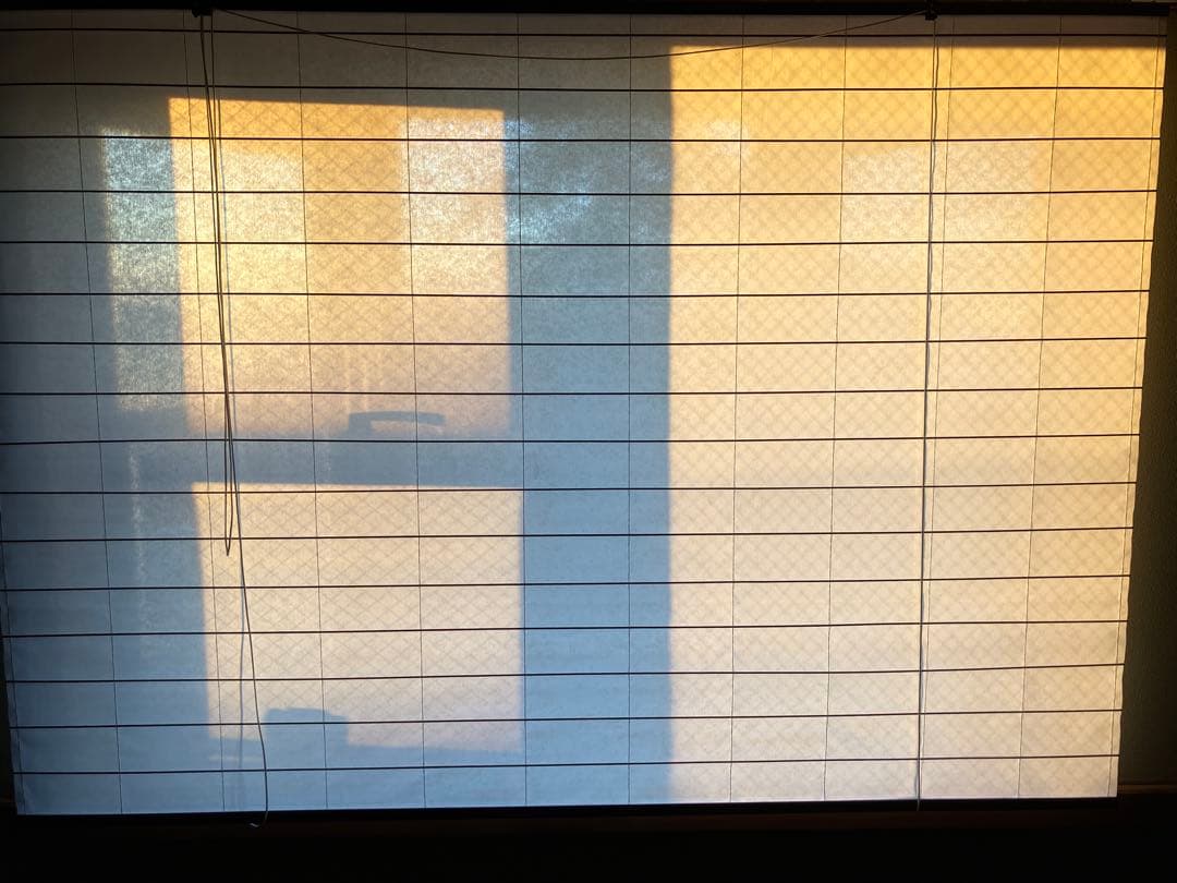 障子風ロールスクリーン