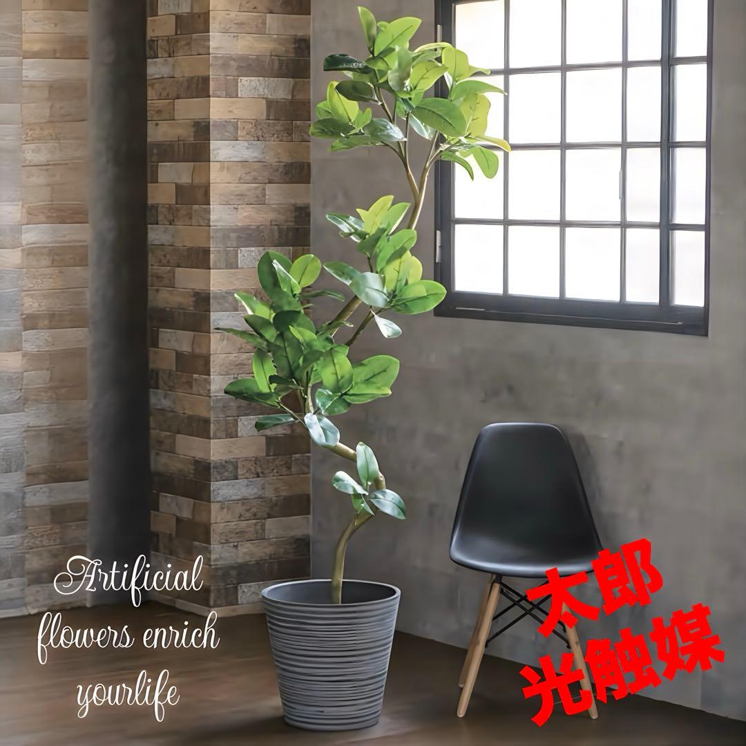 光触媒　人工観葉植物　ウォールグリーン　フェイクグリーン　アルテシマエレガンス2