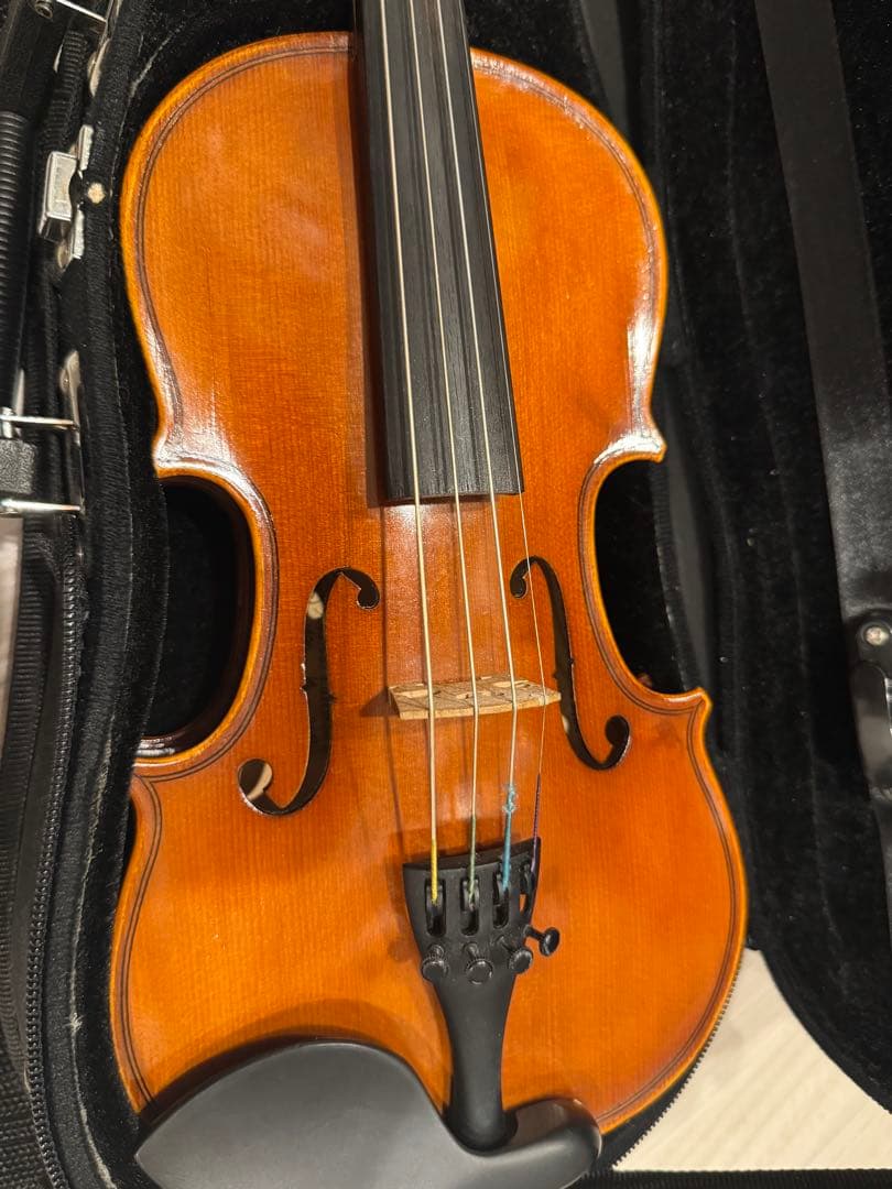 1/8バイオリン EASTMAN VL80 2018年制