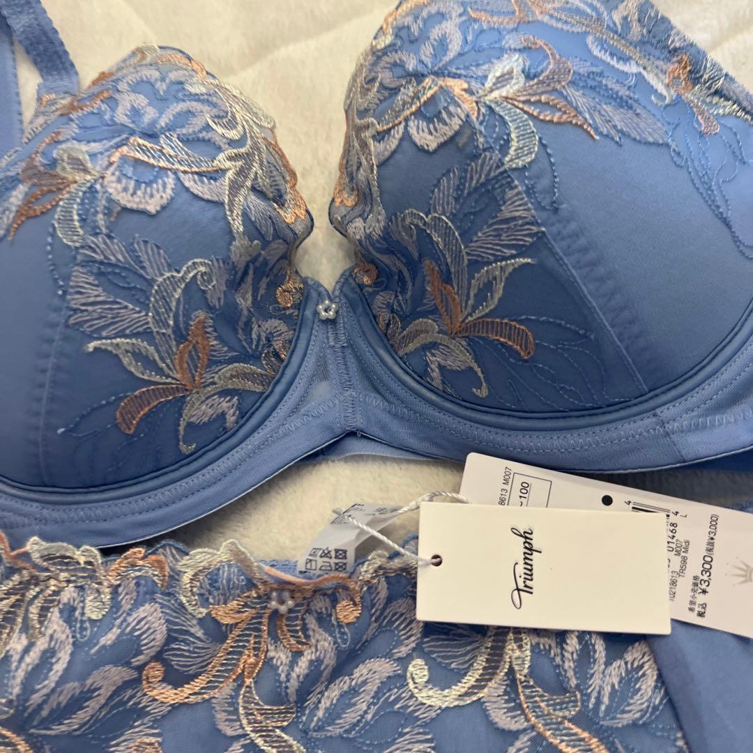 グレー上下　追加　定価10670円　トリンプ　ブルー　D80 ブラジャー